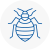 Bed Bug Extermination In Portchester