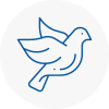 Bird Prevention Portchester