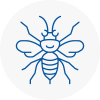 Portchester Hornet Nest Removals