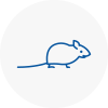 Mice Exterminators In Portchester