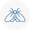 Moth Control Specialists In Portchester