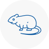 Rat Control Portchester