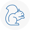 Portchester Rodent Removals